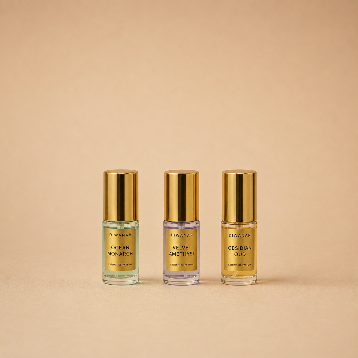 Diwanar Discovery Set